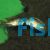 Parrot Cichlid 