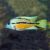 Parrot Cichlid
