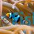 Percula Clownfish Orange & Black - Small