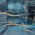Pipefish - Freshwater Short Snout