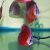 Red Rose Discus 9cm