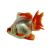 Red and White Ryukin Short Tail