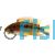 Apistogramma Viejita Red Neck