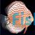 Red Turquoise Discus
