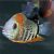 Rotkeil Severum