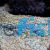 Sand Sifting Starfish