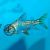 Flagtail Prochilodus Red Finned - Wild Caught 5cm