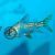 Flagtail Prochilodus - Red Finned 3cm