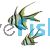 Banggai Cardinalfish