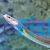 Short Finned Eel 15cm