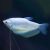 Silver Gourami 