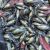 Silver Perch