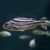 Target Fish - Brackish 7cm