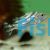 Target Fish - Brackish