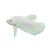 Male Betta Shortfin White 