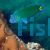 Thalassoma lunare