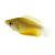 Thicklip Gourami - Bronze 3.5cm