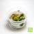 Tropica TC Sword Grisebachii 'Tropica'