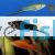 Assorted Male Swordtail