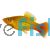 Variatus Papegaien Platy