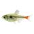 Yellow Phantom Tetra 3.5cm