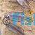Yellowtail Congo Tetra