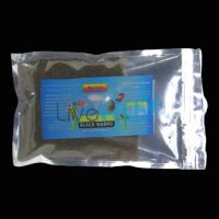 Australian Pellet Blackworm 100G