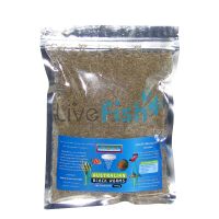 Australian Blackworm Freeze Dried XLGE 100G