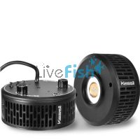 Kessil A360X Tuna Blue