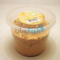 Mealworms - Tenebrio Molitor 100g