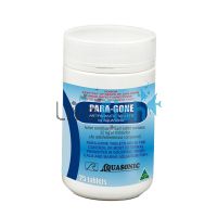 Aquasonic Paragone 25 Tabs