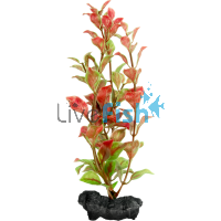 Decoart Plant Red Ludwigia - Medium 23cm