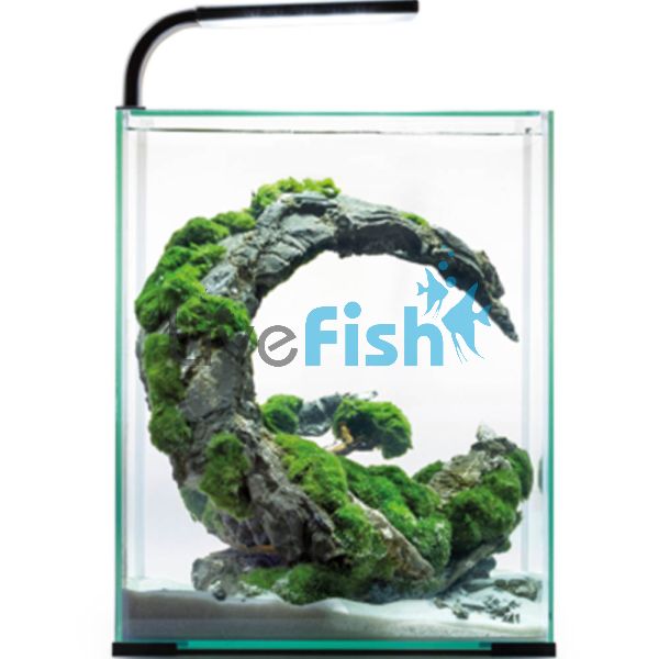 AquaEL Shrimp Set 20 - Black