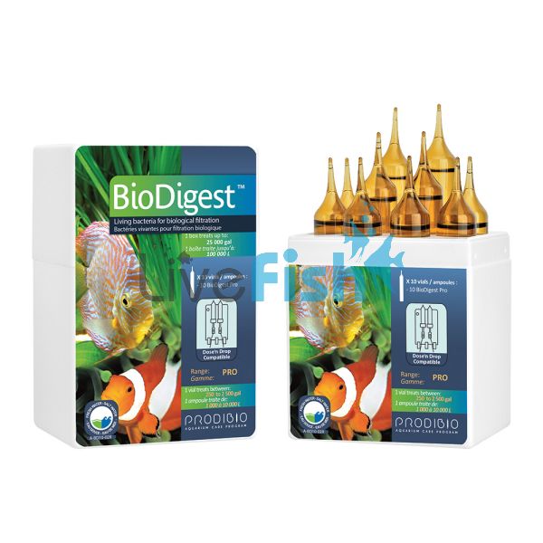 Prodibio - Biodigest Pro10 10 Vials