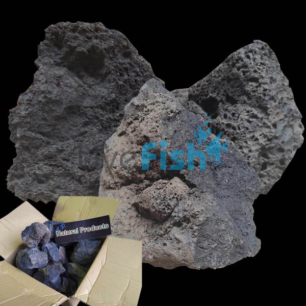 Black Lava Rock 9kg