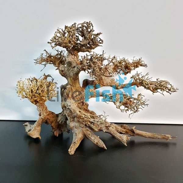 Bonsai Driftwood 30cm x 25cm