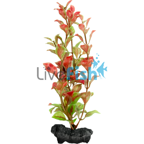 Decoart Plant Red Ludwigia - Small 15cm