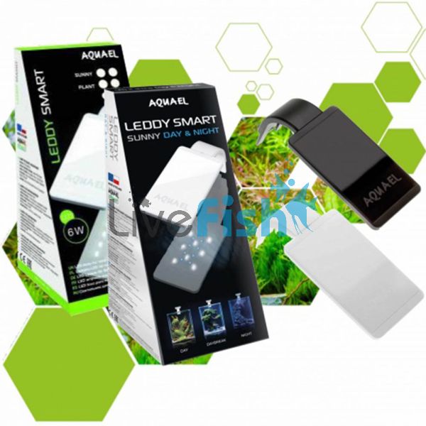 Leddy Smart 6W Plant - Black