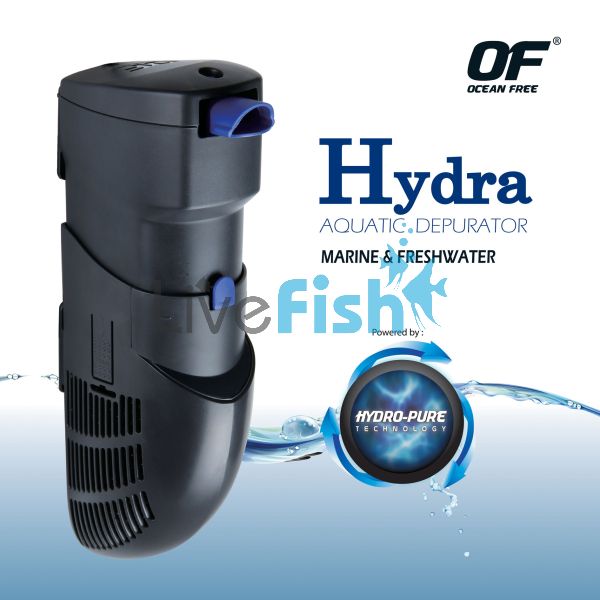 Of Hydra 40