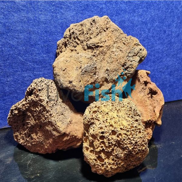 Red Lava Rock 10kg 