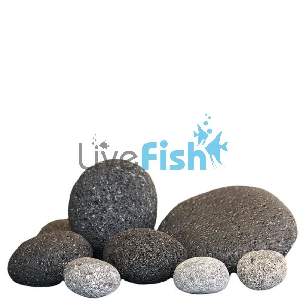 Smooth Lava Rock 7kg 