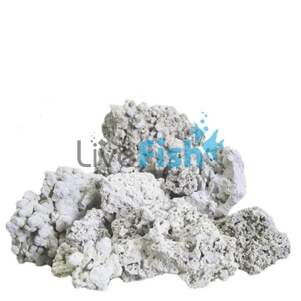 South Seas Base Rock 10kg