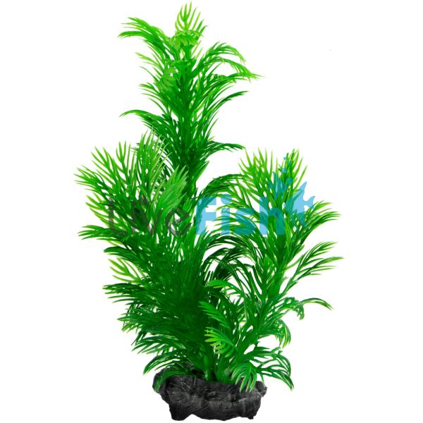 Decoart Plant Green Cabomba - Small 15cm