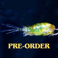 Live Copepods 2.5k 500ml