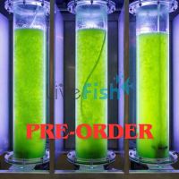 2L Copepod Food Live Algae Mix