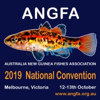Angfa 2019 Conference Auction Delivery