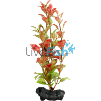 Decoart Plant Red Ludwigia - Large 30cm