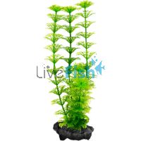 DecoArt Plant Ambulia Large 30cm