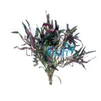 Dragons Flame - Bunch