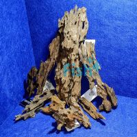 Honeycomb Driftwood Pack